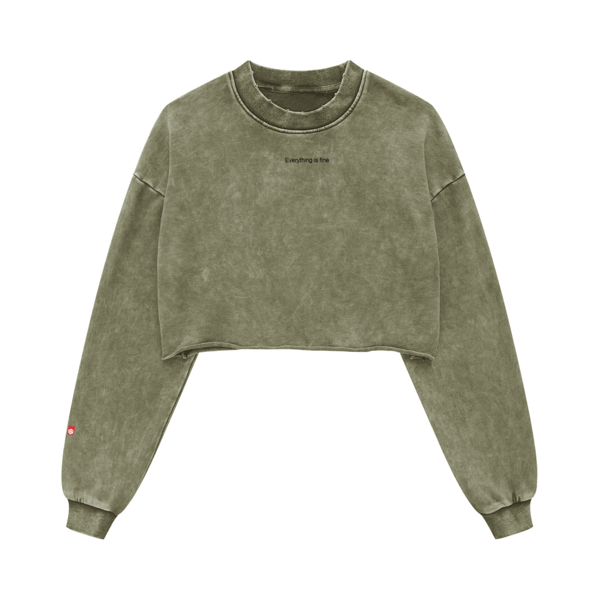 Cropped Oversized Washed Sweatshirt with Premium Cotton